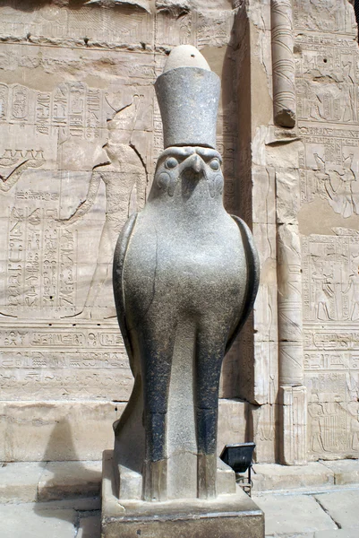Horus. —  Fotos de Stock