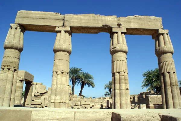 Säulen und Palmen — Stockfoto