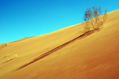 Wadi Rum