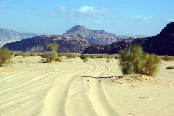 Road in desert — Stock Photo, Image