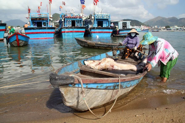 Mujeres y tiburones en Nha Trang — Foto de Stock