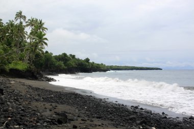 Black sand beach in Samoa clipart