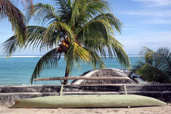 Кокосовое дерево и лодка — стоковое фото