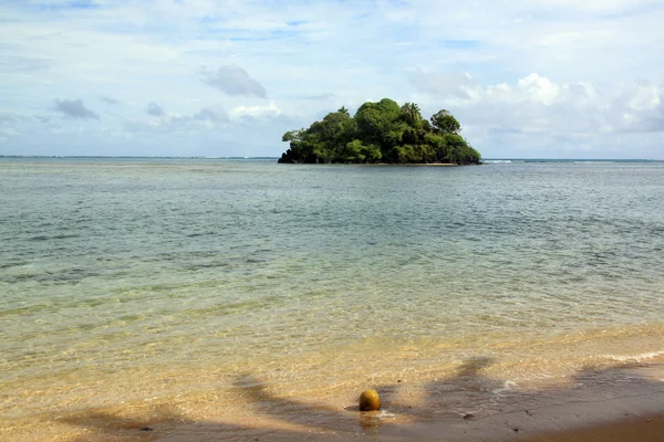 Пляж и кокос — стоковое фото