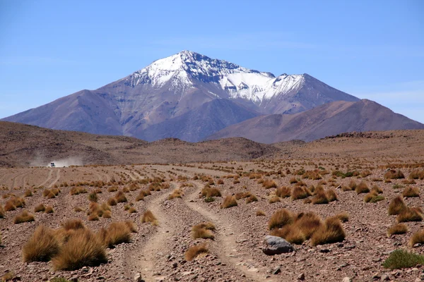 Desierto y montaña — Foto de Stock