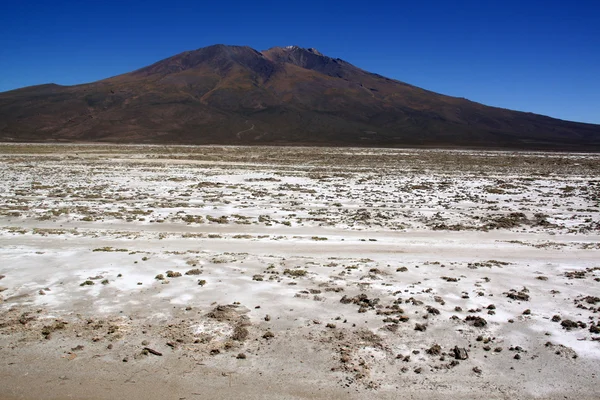 Mountain and salt desert — Stock Photo, Image