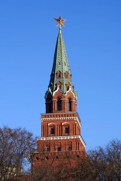Wieża i Kremla — Zdjęcie stockowe