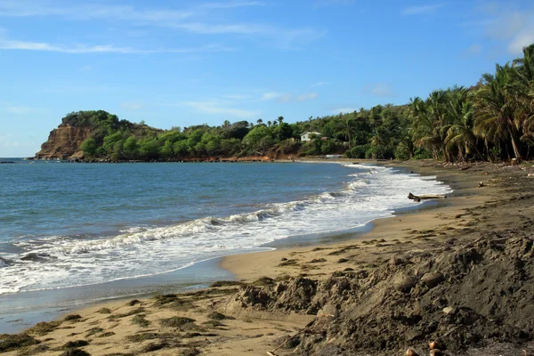 Caribean sahil — Stok fotoğraf