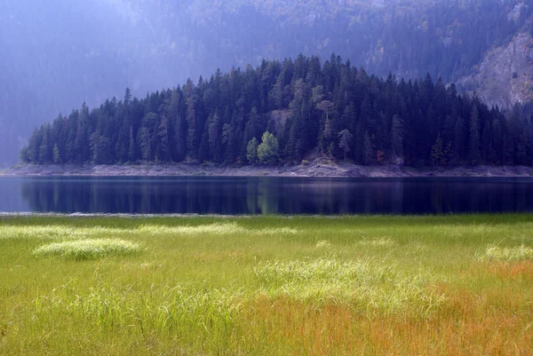 湖と森 — ストック写真
