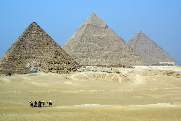 Piramids 和骆驼 — 图库照片
