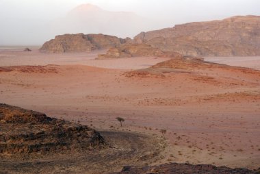 wadi rum yolda