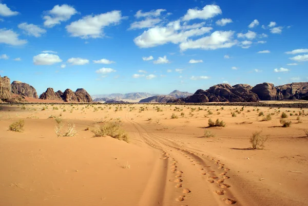 Пустеля Wadi Rum — стокове фото