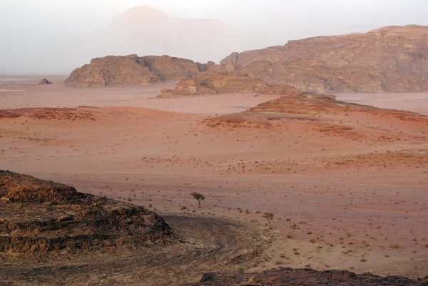 stock image Road in Wadi Rum