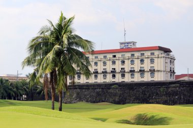 palmiye ağacı ve golf sahası