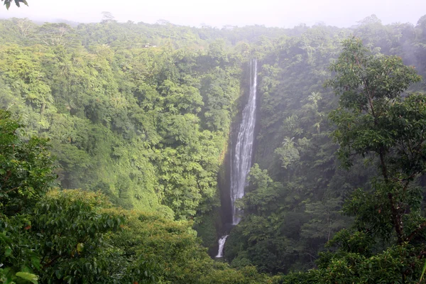 Morgen und Wasserfall — Stockfoto