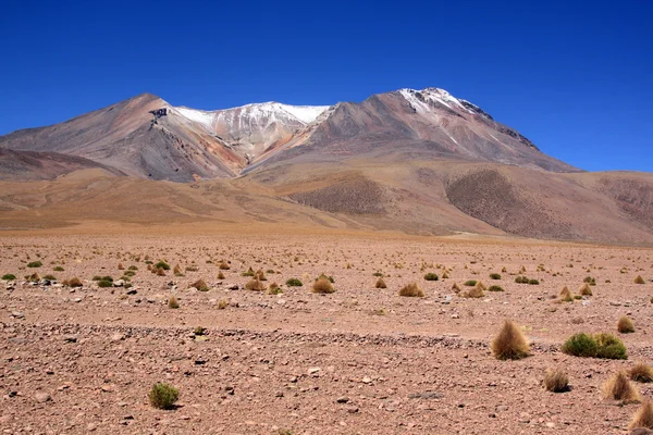 Wüste und Berge — Stockfoto