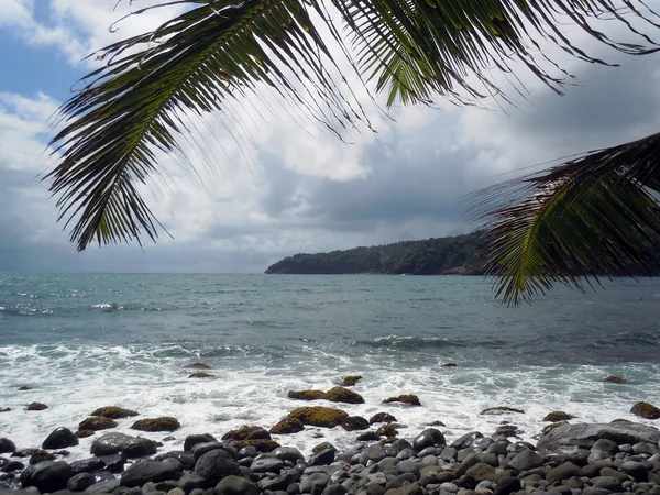 Dominica — Stok fotoğraf