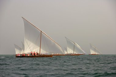 dhow yarış