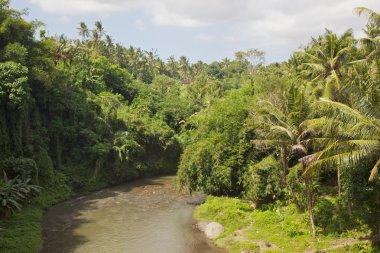 Bali Nehri