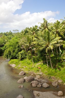 Bali Nehri