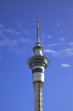 Auckland Sky Tower clipart