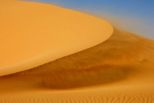 Stock image Wind on Dune