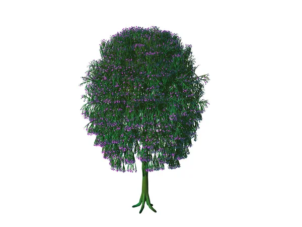 Árvore renderizada em branco — Fotografia de Stock