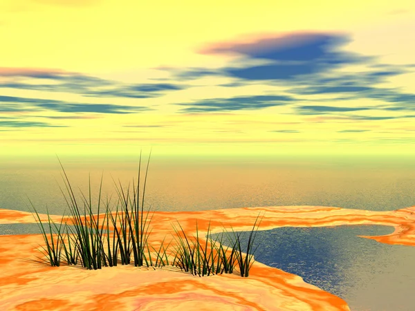 Fantasy sand island with plants and lake — Stock Photo, Image