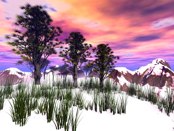 梦幻冬季景色与粉红的天空 — 图库照片