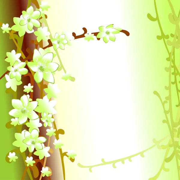 A.植物背景 — 图库矢量图片