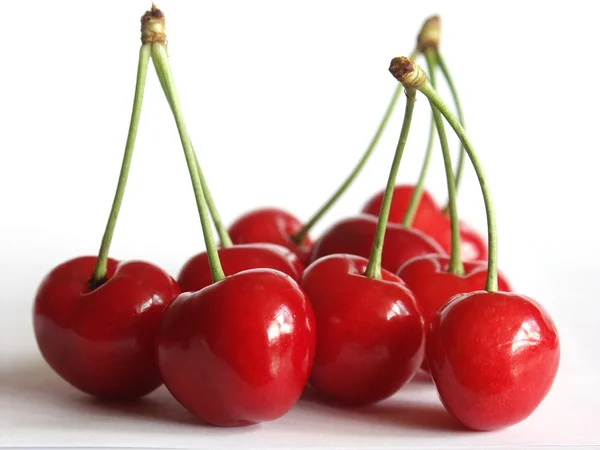 stock image Cherries