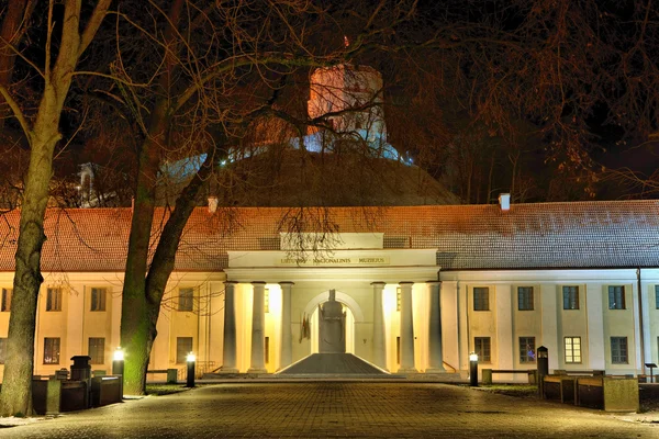 Museu Nacional da Lituânia — Fotografia de Stock