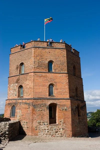 stock image Gediminas castle in Vilnius, Lithuania