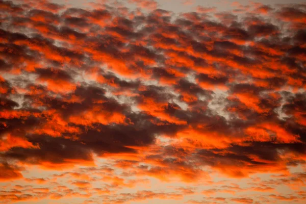 Oranje cirrocumulus wolken — Stockfoto
