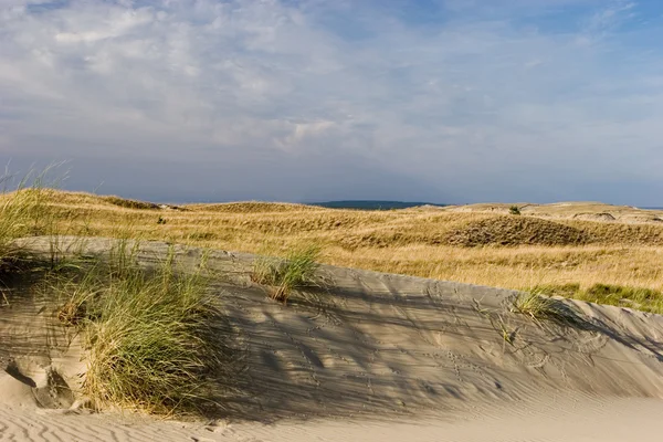 Nagliai dune — Stockfoto