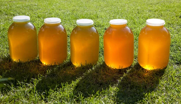 Fresh honey jars — Stock Photo, Image