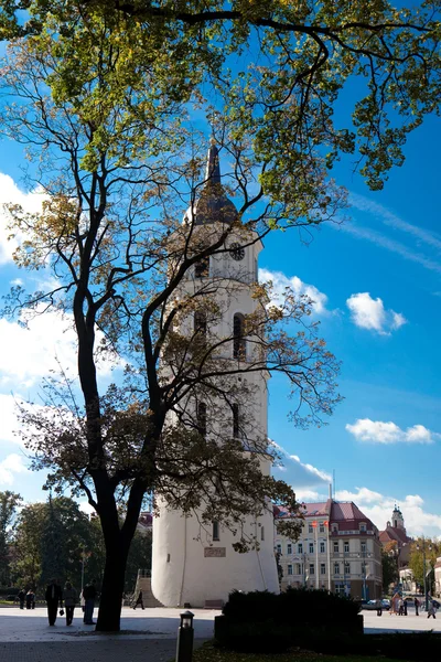 Campanile della Cattedrale di Vilnius — Foto Stock
