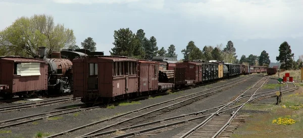 Cumbres & toltékok vasút — Stock Fotó