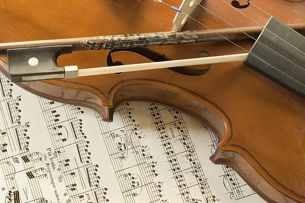 stock image Still life with violin