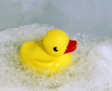 Toy duck in foam clipart