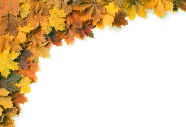 秋季帧 04 — 图库照片