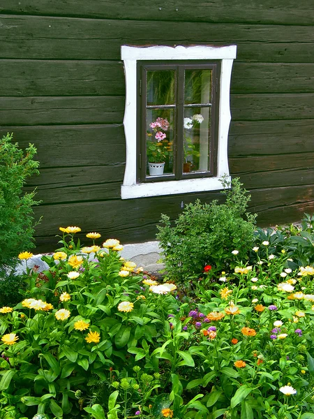 Fenêtre avec un lit de fleurs — Photo