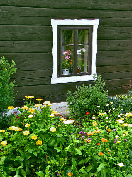 Flower-bed by wooden wall with a window