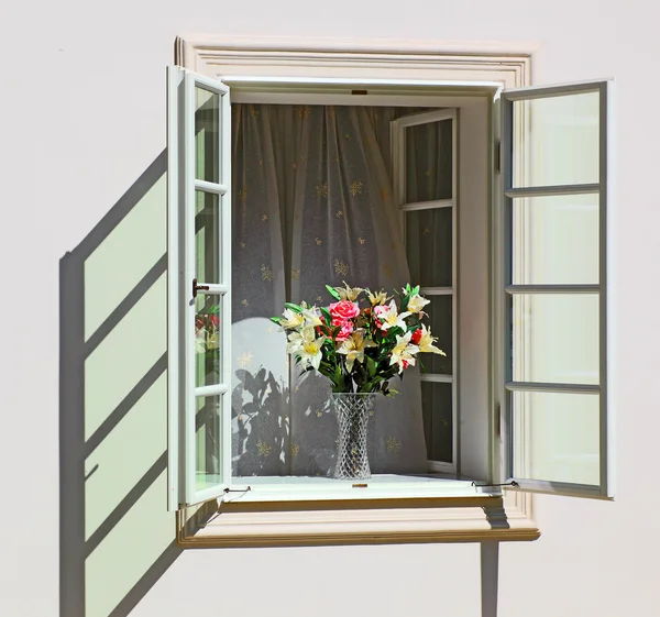 Bir penceredeki çiçek — Stok fotoğraf