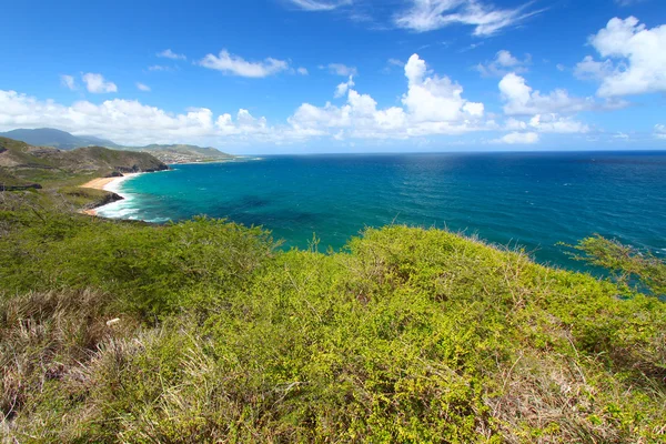 Linea costiera di St Kitts — Foto Stock