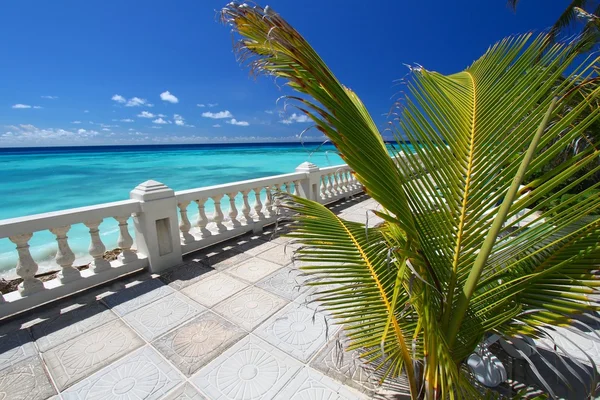 Beautiful Barbados — Stock Photo, Image