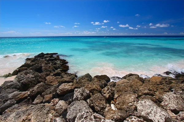 Rocky coastline of Barbados — Stock Photo, Image