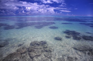 Moorea Lagoon