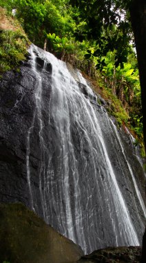 La Coca Falls - Puerto Rico clipart