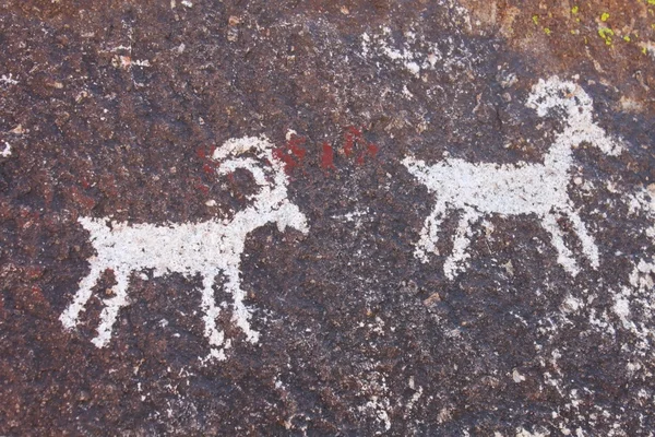 Grapevine Canyon Petroglyphs — Stock Photo, Image